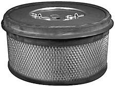 EGB160176 | DONALDSON | Intake Air Filter Element