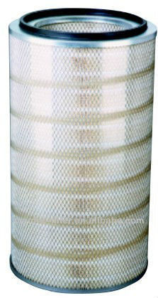 P19-1031 | Donaldson Torit Filter