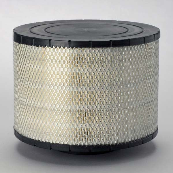 B125005 | DONALDSON | Intake Air Filter Element 