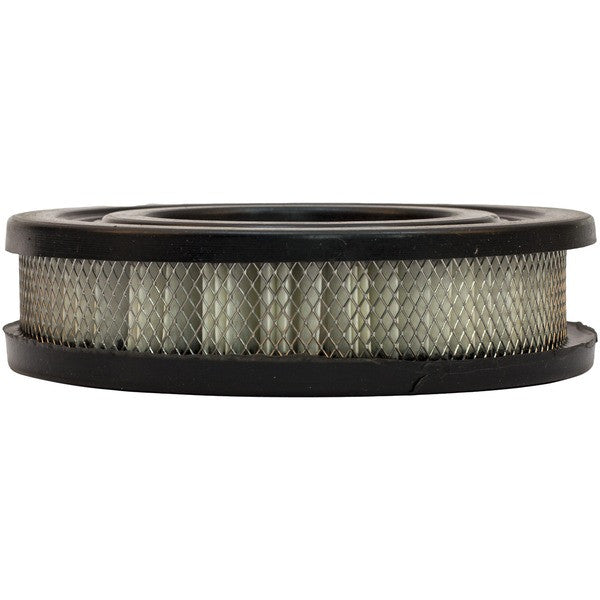 P168068 | DONALDSON | Intake Air Filter Element
