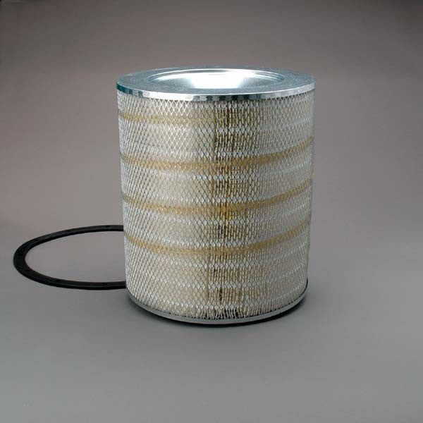 88675 | Carquest | Intake Air Filter Element