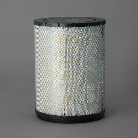 EGB110024 | DONALDSON | Intake Air Filter Element