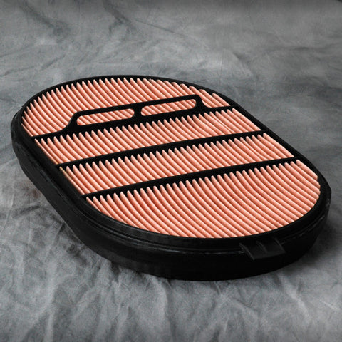 P607557 | DONALDSON | Oval Intake Air Filter Element